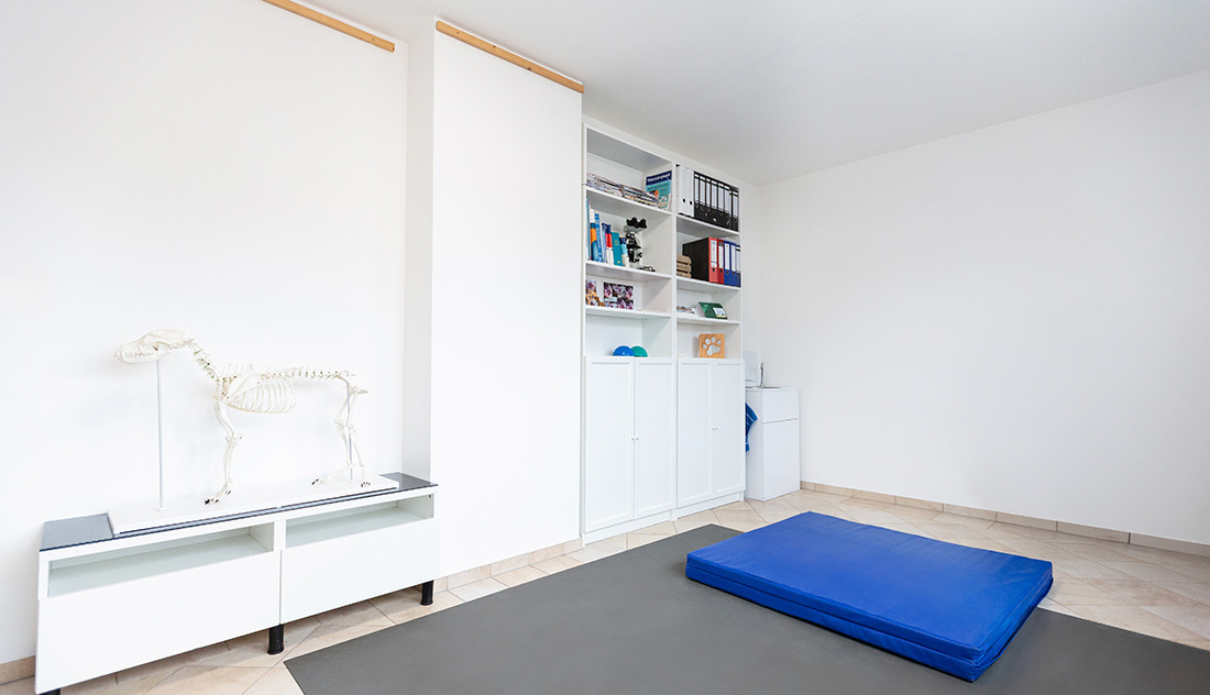 Behandlungsraum, Praxisraum, Fotografie Unternehmensportrait Tierphysio Schloßberg