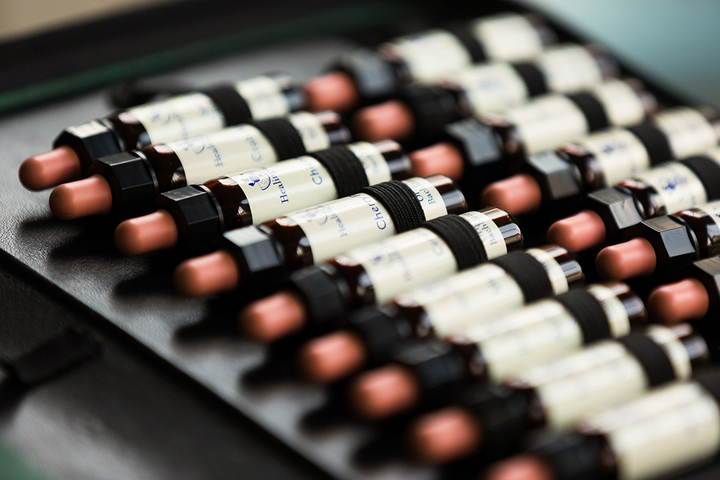 Bachblüten Flakons in Tasche, Praxisraum Naturheilkundepraxis, Praxisfoto, Praxis Heilpraktikerin Ulrike Stadler