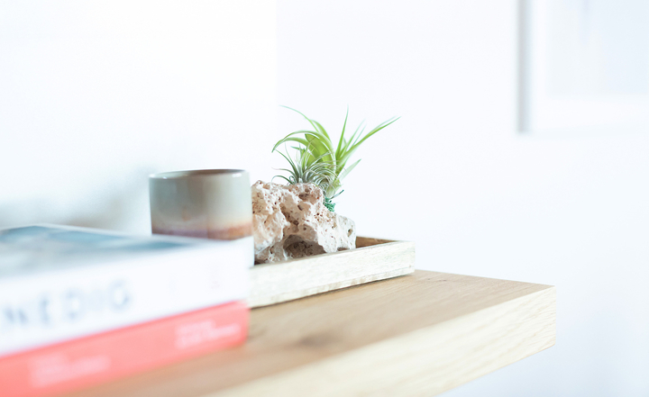 Praxisraum Naturheilkundepraxis, Praxisfoto, Praxis Innenraum, Praxis Heilpraktikerin, Vitalraum, Pflanze auf Regal