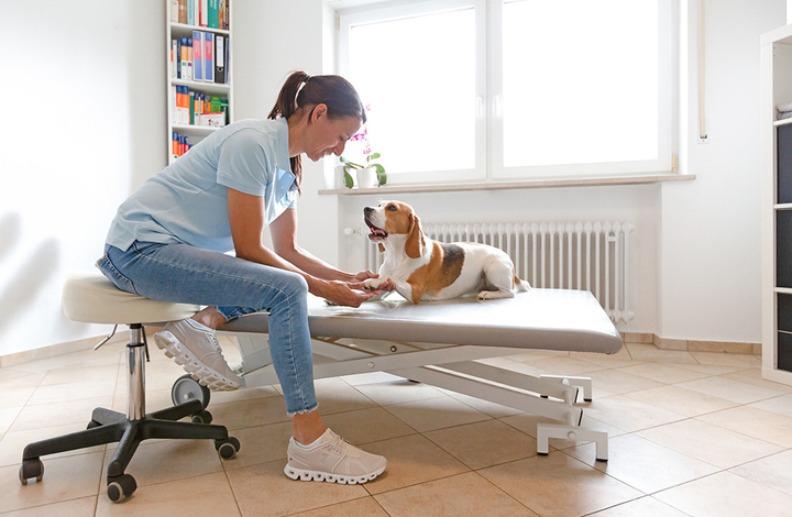 Hand wird behandelt, Behandlungsliege, Fotografie Unternehmensportrait Tierphysio Schloßberg